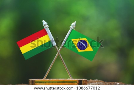 Brazil and Bolivia small flag with blur green background