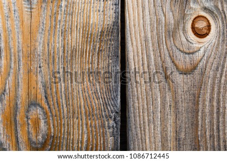 Wood pattern of larch tree - wood background - wood texture