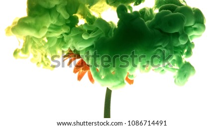 Green and yellow ink spraying on beautiful flower on white background shooting with 4k high speed camera.