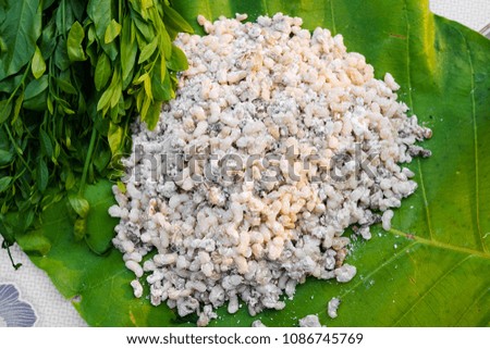 Egg ants food of Thailand , food from nature