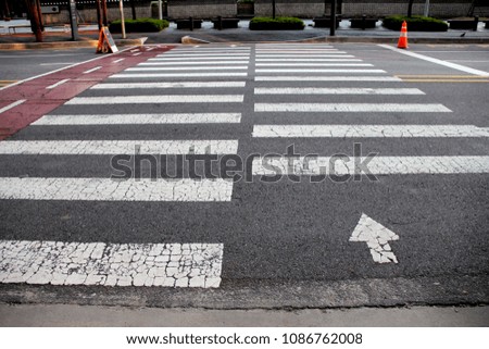 Crosswalk and Bike path.Bicycle way and crosswalk symbol sign on street floor background texture texture background