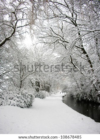 snow covered riverbank with trees overhanging