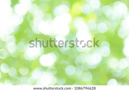 Green Bokeh Background