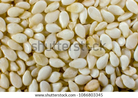 image background of small sesame seeds closeup

