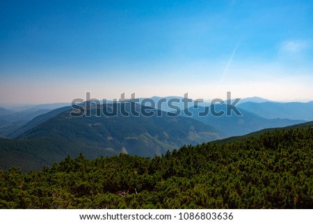Wooded hills and green valleys stretches to the horizon under blue sky on a sunny day. Awesome panorama of Carpathian mountains, Ukraine. Back light.