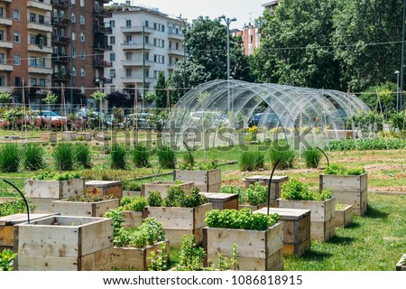 Urban farming sustainability concept, captured in Milan, Lombardy, Italy. Royalty-Free Stock Photo #1086818915