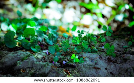 I have canon 60d camera and shoot this images Royalty-Free Stock Photo #1086862091