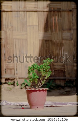 I have canon 60d camera and shoot this images Royalty-Free Stock Photo #1086862106