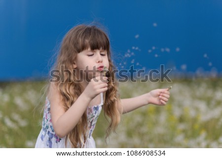 Pretty little girl is blowing a dandelion. Blue background. Dandelion field background.