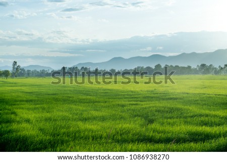 Beautiful green young rice field, mountain  and wide cloudy sky in rainy season.  Natural scene. Farm land scenic North of Thailand. Agriculture land plot for sales. Royalty-Free Stock Photo #1086938270
