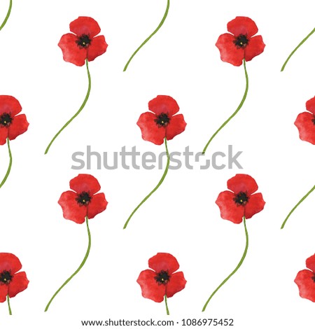 Seamless pattern with poppy flowers isolated on white background 