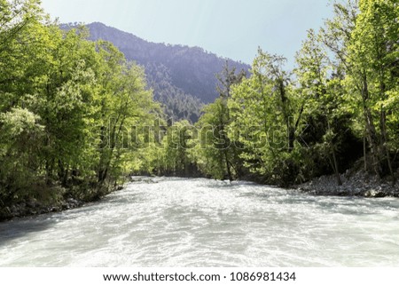 Very tranquility view natural and cold river with plane tree in the Taurus Mountains.