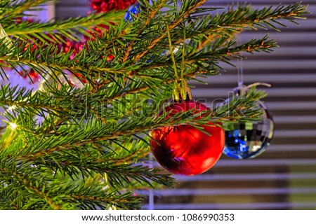 Shiny reflective christmas decoration on the christmas tree.