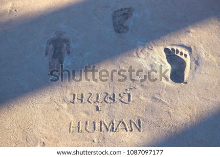 Human footprints in sidewalks concrete cement