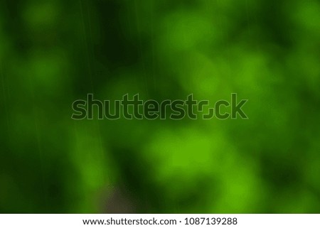 Green bokeh background in a rainy forest. Rainy weather in the summer.