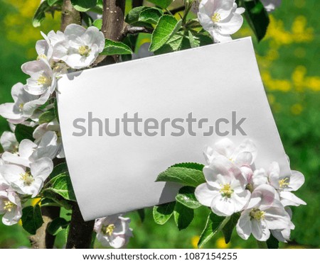 white rectangular horizontal sheet of paper card in green leaves and flowers of apple tree branches 