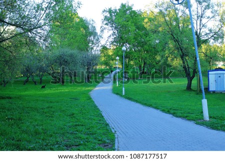 Beautiful pedestrian walkway in the Park.  Moscow. Russia.