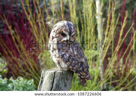Tawny owl looking down from a post, apparently searching for the next meal, sidelight with sunlight. Natural foliage background. Realistic carved and painted sculpture which deceives the eye.