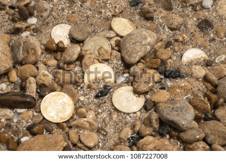 bitcoin Cryptocurrency. e-currency. sea. summer beach. sea stones. sea pebbles