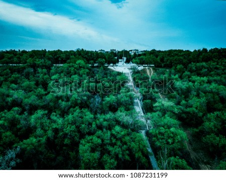 landscape aerial photography of moody forest trees