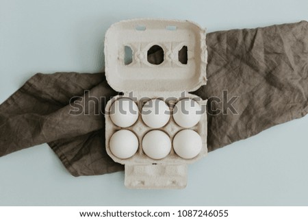 Fresh eggs on pastel background. Design, visual art, minimalism