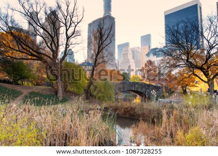 New York, a walk along Central Park