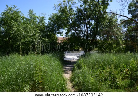 Beautiful landscape of a path that leads to Kern River, it is spring season at Hart Park, Bakersfield, CA. 