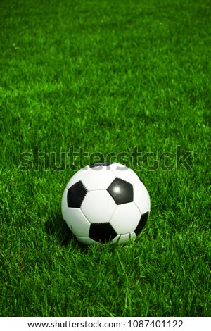 classic soccer ball lying in the grass, it is a sunny day in summer