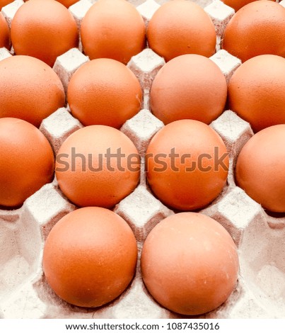 Close up chicken egg.