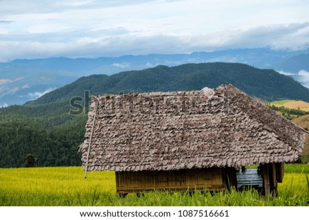 Cottage at Green Terraced Rice Field in Chiangmai, Thailand with mountain view as background
