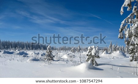 Skiing area. Winter wonderland in the Ore Mountains in Saxony, Germany