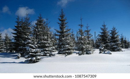 Skiing area. Winter wonderland in the Ore Mountains in Saxony, Germany