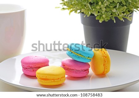 Still life picture of assorted macron on the table