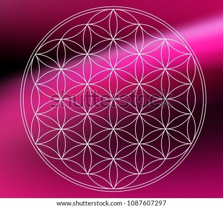 Flower of life - vector - sacred… Stock Photo 134607149 - Avopix.com