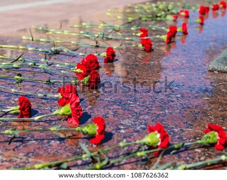 Red carnations on a granite plate