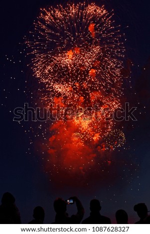 Colorful fireworks on dark night sky background. Holiday light