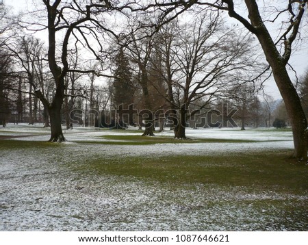 
Winter days in a park landscape in Germany