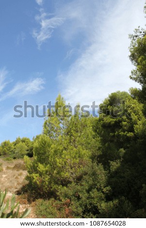 Beautiful view on wild nature landscape. Green background with rocks in summer time.