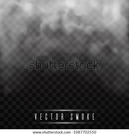 Fog or smoke isolated transparent special effect.Smoke or cloud effect on transparent background. Realistic fog.Vector illustration.