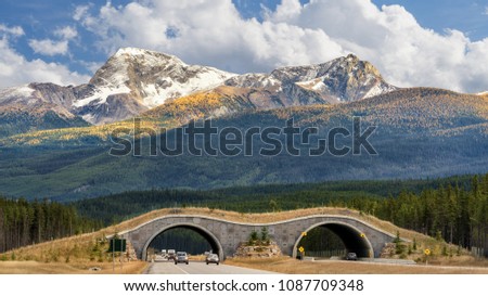 Autumn - Wildlife Overpass on Trans Canada Highway in Banff National Park	 Royalty-Free Stock Photo #1087709348