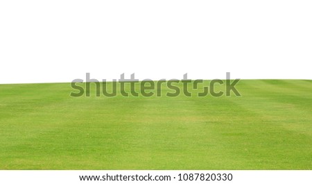 Green grass meadow field from outdoor park on white background
