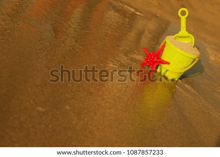 starfish and children's pail with sand lie on the seashore