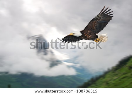 american bald eagle in flight illustrated over rocky mountain