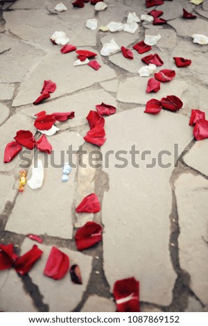 Red rose petals on the grey floor. Happy birthday party. Romantic valentine day.