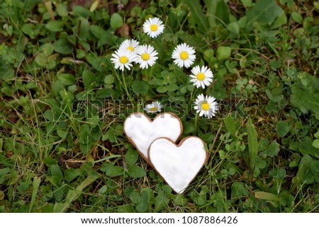 Two sweet hearts with daisies on background