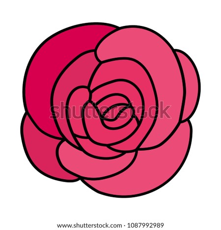 beautiful rose flower decorative
