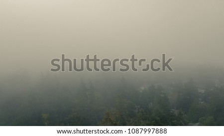 A Foggy Afternoon In Canada BC - Aerial
