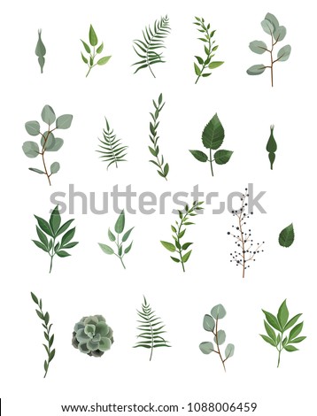 Vector designer elements set collection of green eucalyptus, art foliage natural leaves herbs in watercolor style. Decorative beauty elegant illustration for design Royalty-Free Stock Photo #1088006459