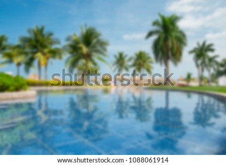 defocused tropical palm trees for backgrounds