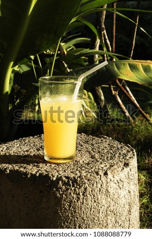 A Glass of Pineapple Juice on a Stone Plinth in the Forest